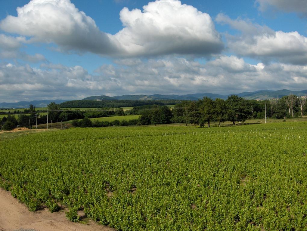 Апартаменти Coeur De Beaujolais Corcelles-en-Beaujolais Екстер'єр фото